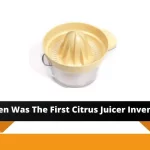 When Was The First Citrus Juicer Invented - Evolution Of Juicers