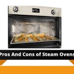 Pros and Cons of Steam Ovens (Are They Worth To Buy)?